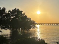 -宝安西湾红树林湿地公园