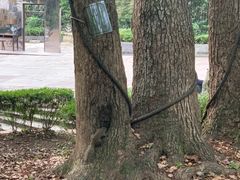 -蒋氏故居