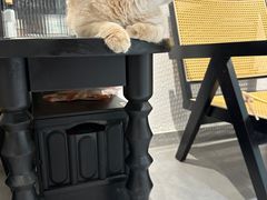 -琪喵猫屋·撸猫猫咖·猫舍