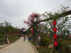 -天适樱花悠乐园