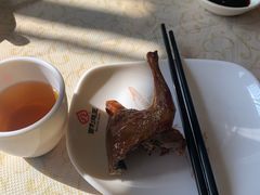 -百利鸽王(紫薇路店)