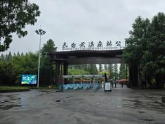 -黄海国家森林公园