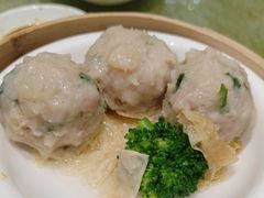 -有心德(麦地店)