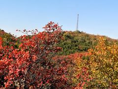 -北京西山国家森林公园