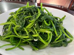 清炒红薯叶-岛中岛·海鲜大排档·万宁老字号(东澳店)