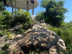 -广州市白云山风景名胜区