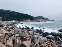-广东惠东海龟国家级自然保护区