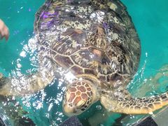 -正佳极地海洋世界