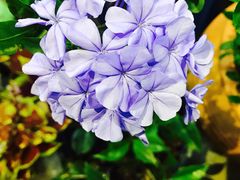 -深圳海边小筑客栈