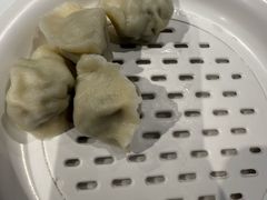 -百饺园(平山道店)