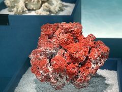 -中国湿地博物馆