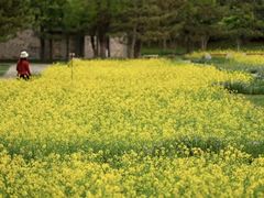 -北坞公园