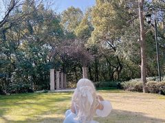 -丽晶美庐·玉兰餐厅