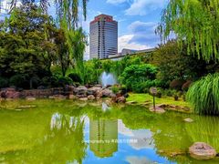 -新虹桥中心花园
