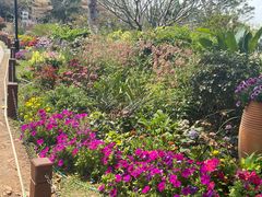 -东莞植物园