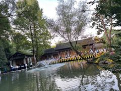 -杭州植物园