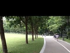 -荔香公园