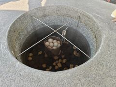-凤翔首邑温泉度假村
