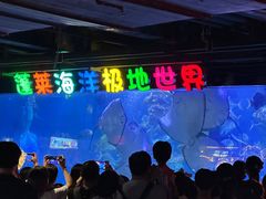 -蓬莱欧乐堡海洋极地世界