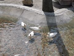 -珠海海泉湾神秘岛亲子乐园