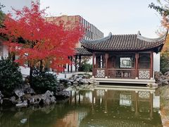 -秋霞圃
