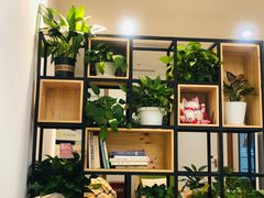 -桥恩心理咨询国际连锁(南山总店)