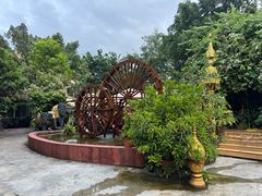 -品德宏·孔雀宴的发源地(金塔园店)