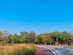-福田红树林生态公园