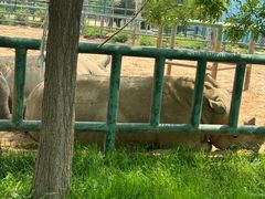 -秦皇岛野生动物园