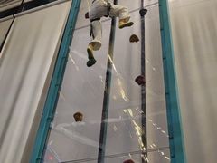 -空气湃·运动嘉年华·团建拓展生日趴·真人CS