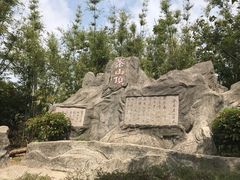 -东莞市大岭山森林公园