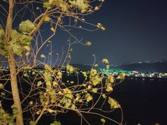 -杜甫江阁