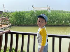 -樂桃源奉贤黄桃种植采摘基地