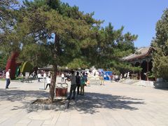 -圆明园停车场