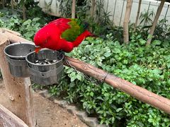 -南宫五洲植物乐园