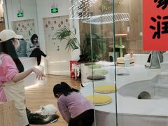 -COLOR PETS 撸猫馆·购猫·猫咖(长风大悦城店)