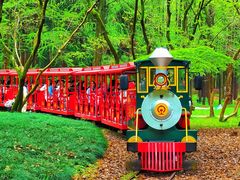 -上海共青森林公园