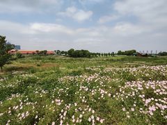 -苏州湾体育公园
