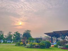 -上海长兴岛郊野公园