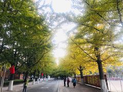 -辽东学院(南校区)