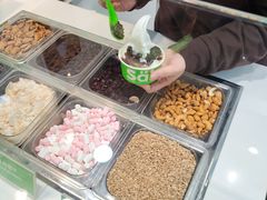 -Salud撒露欧洲冻酸奶(蓝色港湾店)