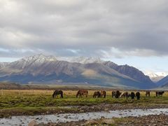 -山丹皇家马场
