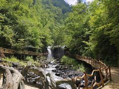 -凤凰山国家森林公园