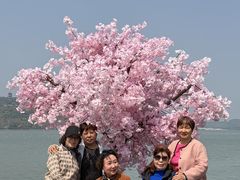 -水上明月·湖景餐厅