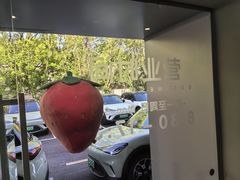 -上海浦东smart汽车全功能店(金桥店)