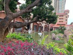 -国家五钻酒家·西樵旺阁渔村(西樵店)