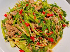 香菜炒牛肉-壹盏灯(蚂蚁工房店)
