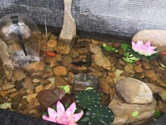 -百花食府(渔阳南路店)