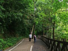 -广州市流溪河国家森林公园