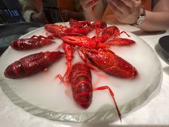 -红盔甲·小龙虾(天钥桥店)